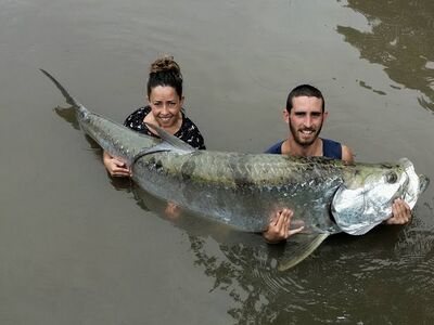Nicaragua Tarpon