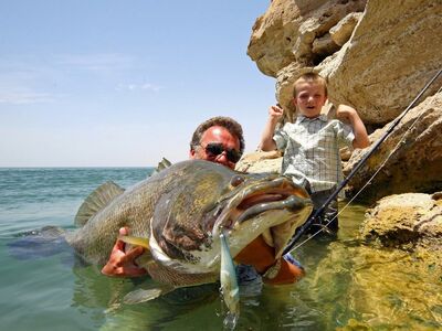 Egypt Nile Perch