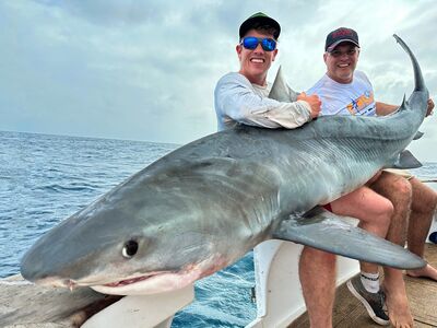 Shark week nov 2024