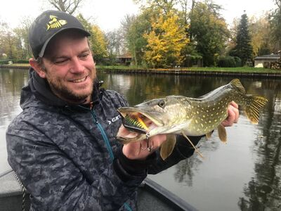 Roofmeister Zweden Avontuur 2025