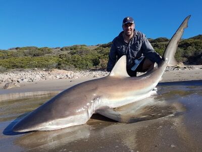 South Africa Mosselbaai oct 2024