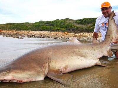 South Africa Mosselbay nov 2026