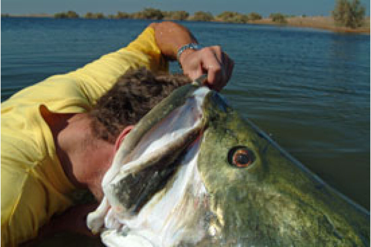 record nile perch