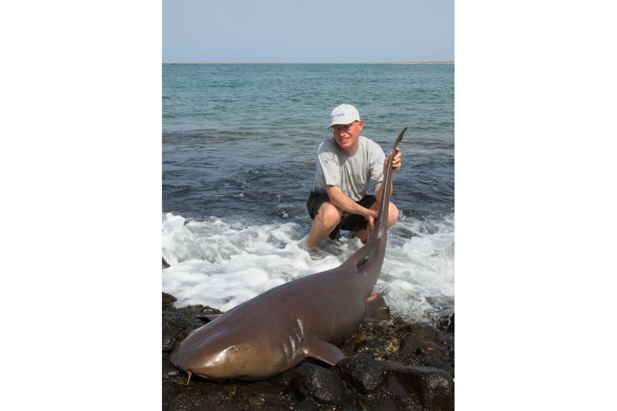 shark week 2024