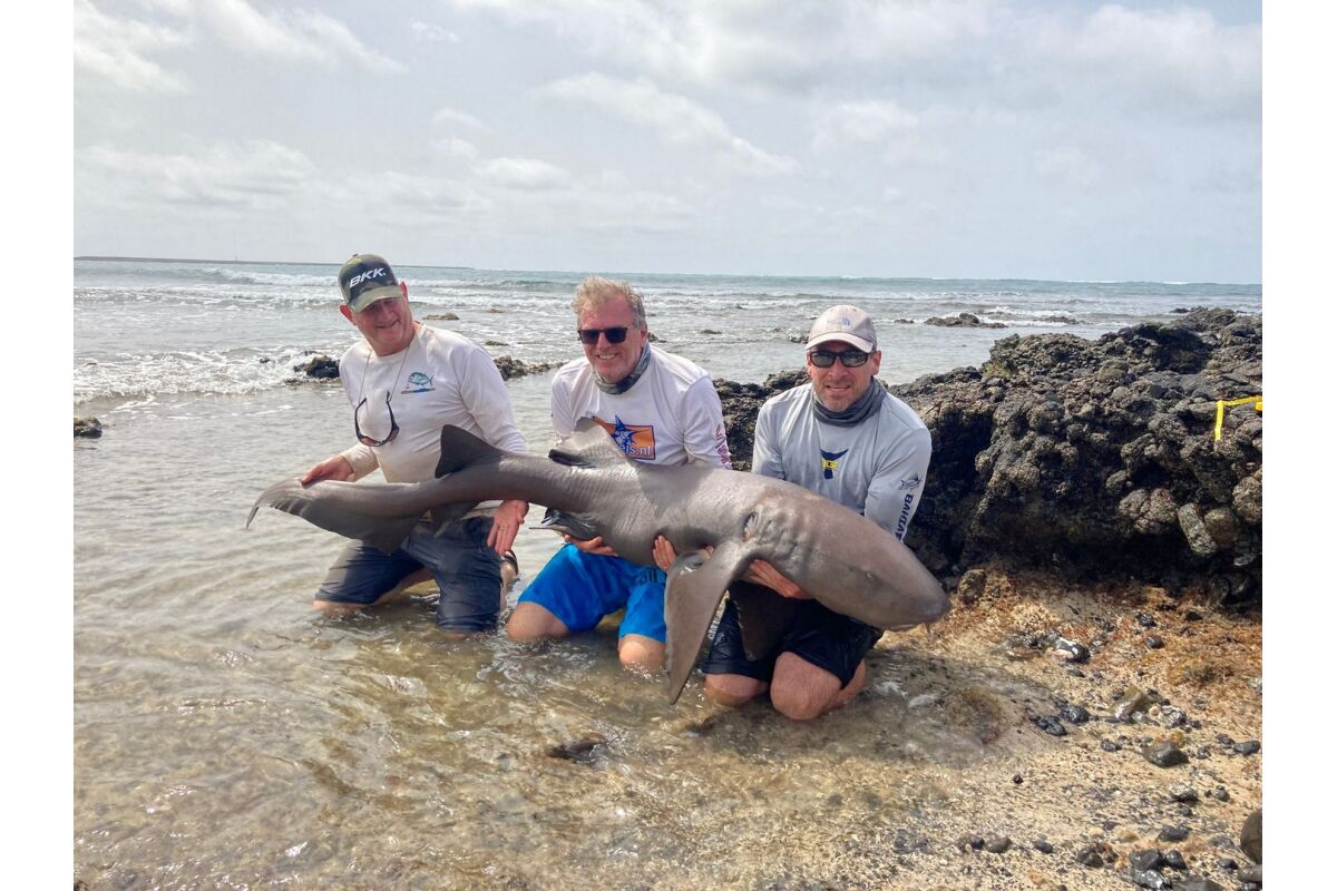 shark week 2024