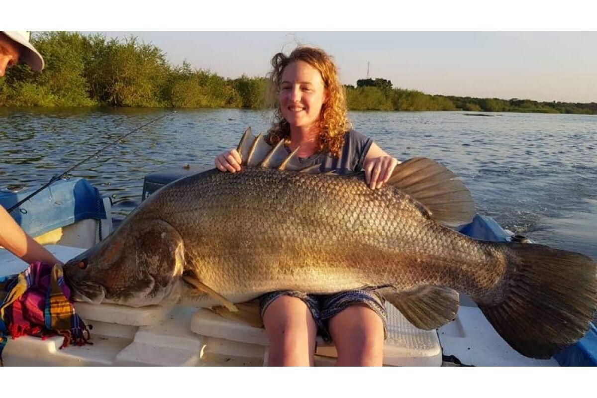 record nile perch