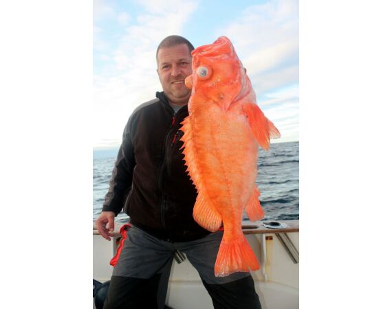 Havoysund cabin boat