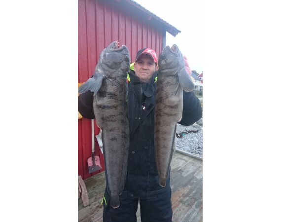 Havoysund cabin boat