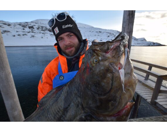 Havoysund cabin boat
