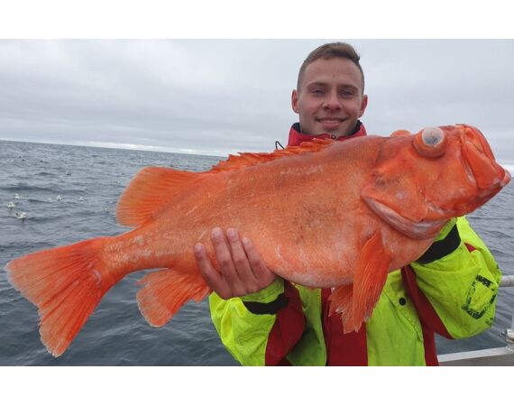 Havoysund cabin boat