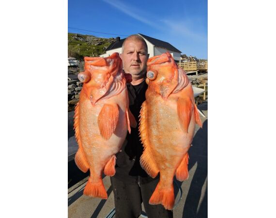 Havoysund cabin boat
