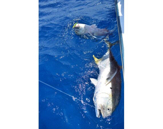 Mexico Puerto Aventuras