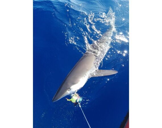 Mexico Puerto Aventuras