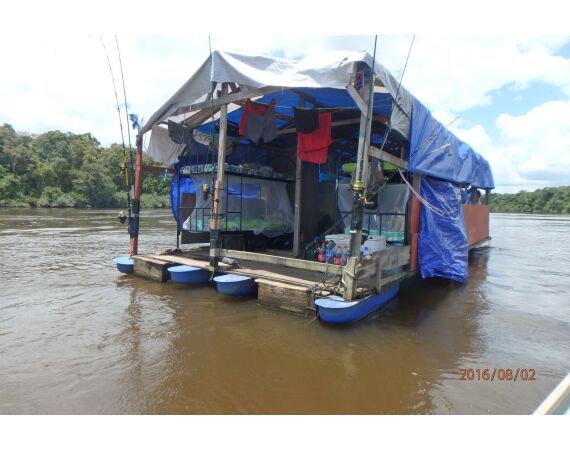 Amazon Surinam