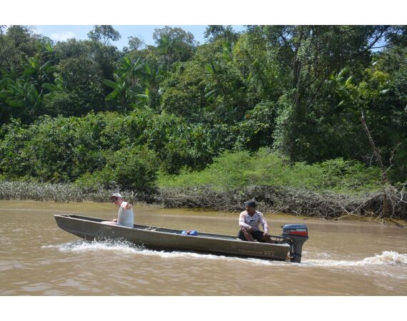 Amazon Surinam