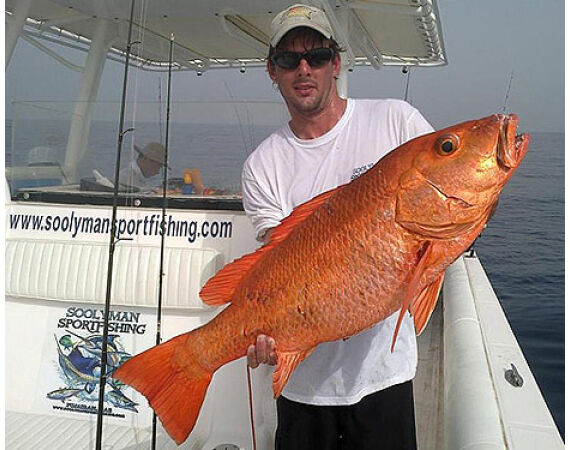 United Arab Emirates