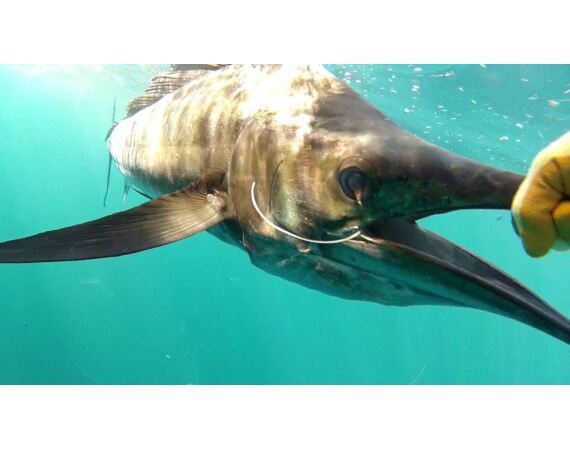 United Arab Emirates