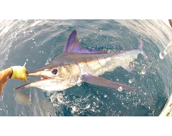 United Arab Emirates