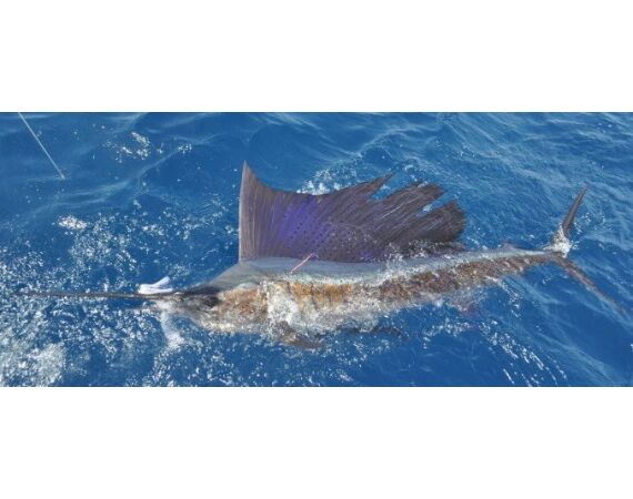 United Arab Emirates