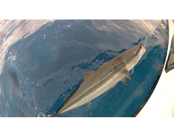 United Arab Emirates