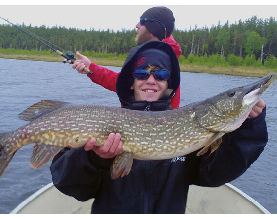 Canada pike