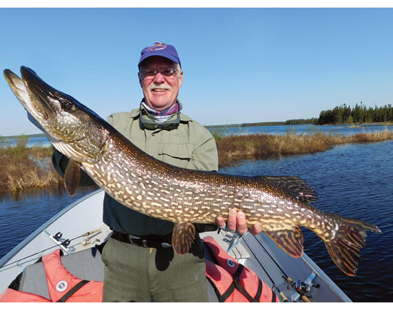 Canada pike