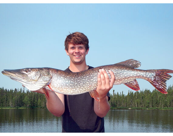 Canada pike