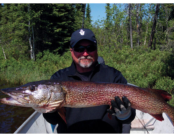 Canada pike