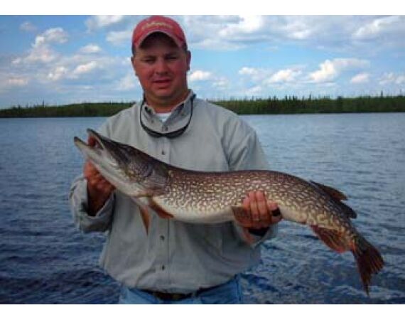 Canada pike