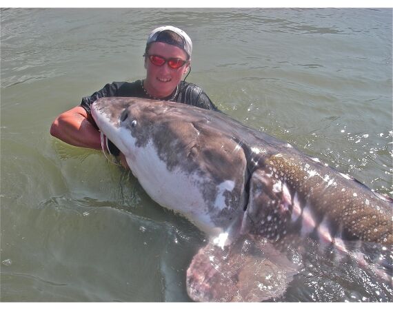 Canada salmon and sturgeon