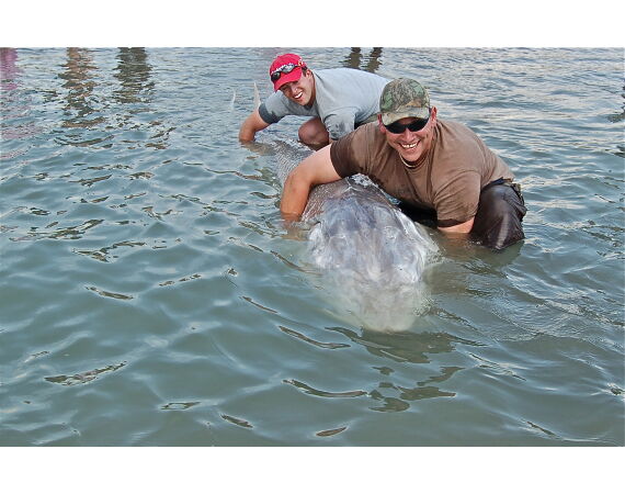Canada salmon and sturgeon