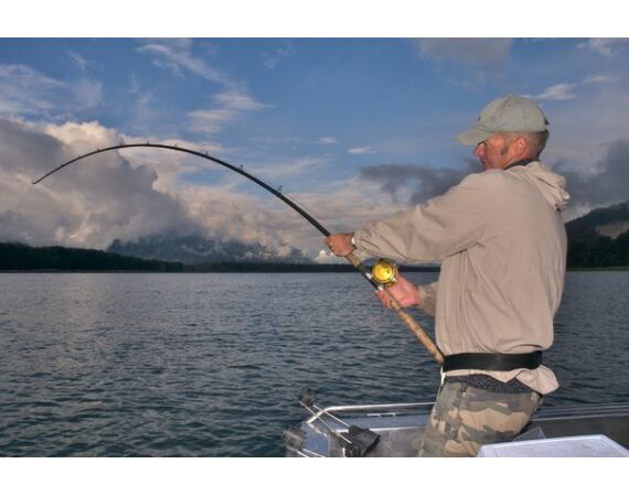 Canada salmon and sturgeon