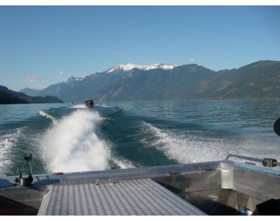 Canada salmon and sturgeon