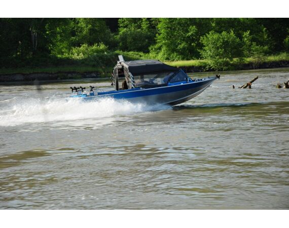 Canada salmon and sturgeon