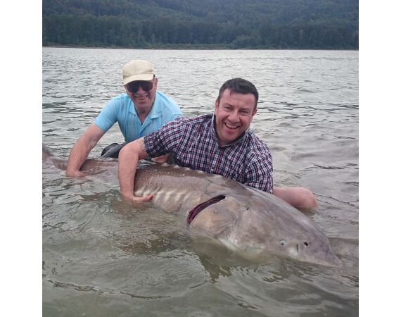 Canada salmon and sturgeon