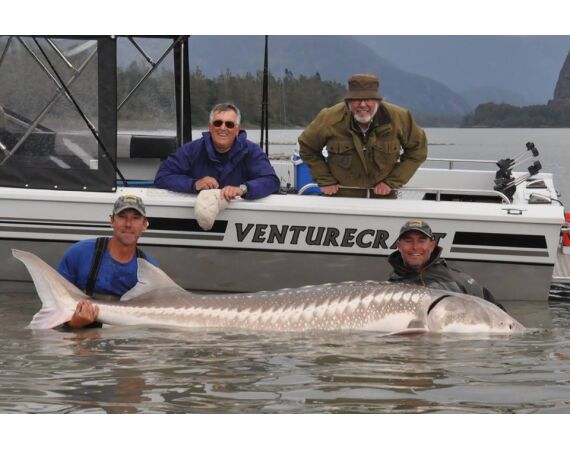 Canada salmon and sturgeon