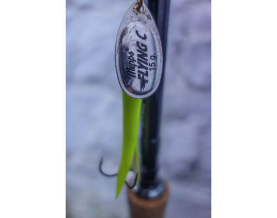 Drowes salmon Ireland