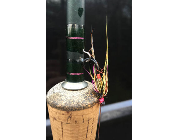 Drowes salmon Ireland