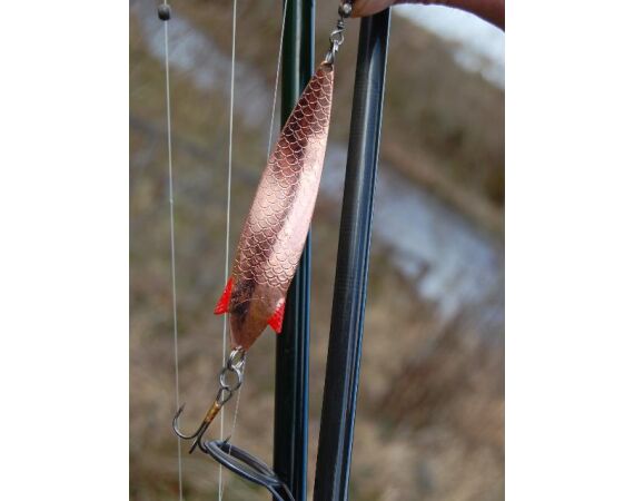 Drowes salmon Ireland