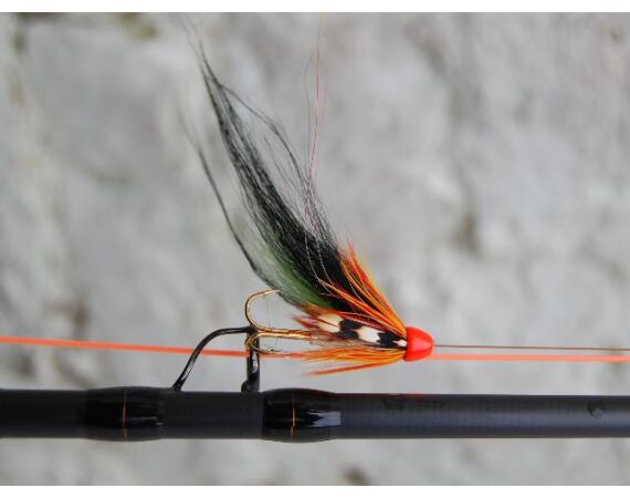 Drowes salmon Ireland