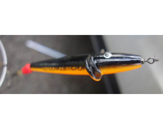 Drowes salmon Ireland