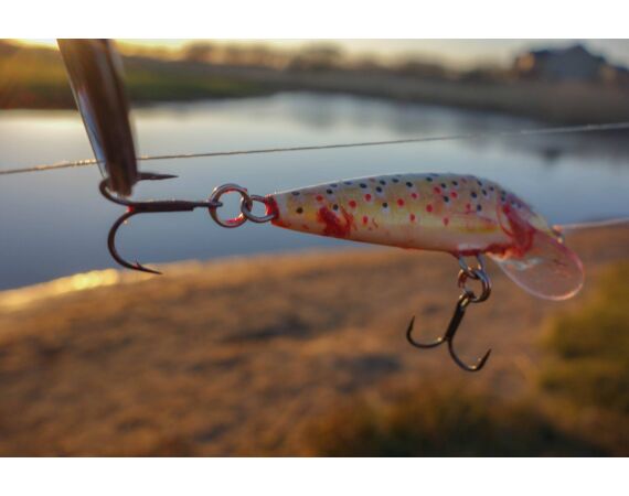 Drowes salmon Ireland