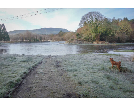 Drowes salmon Ireland