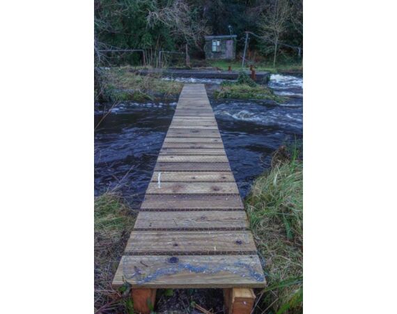 Drowes salmon Ireland