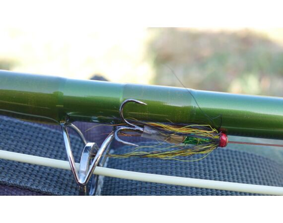 Drowes salmon Ireland