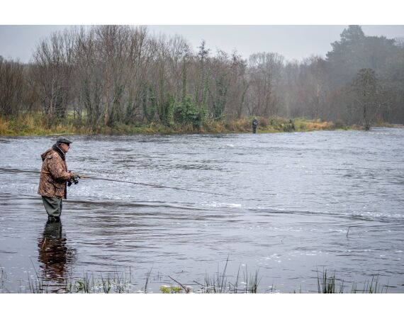 Drowes salmon Ireland
