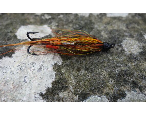 Drowes salmon Ireland