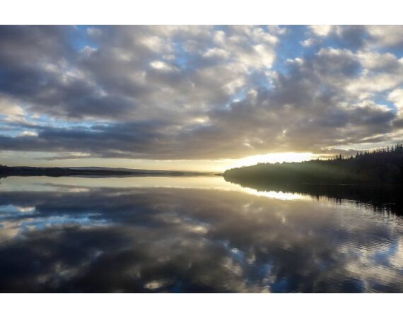 Drowes salmon Ireland