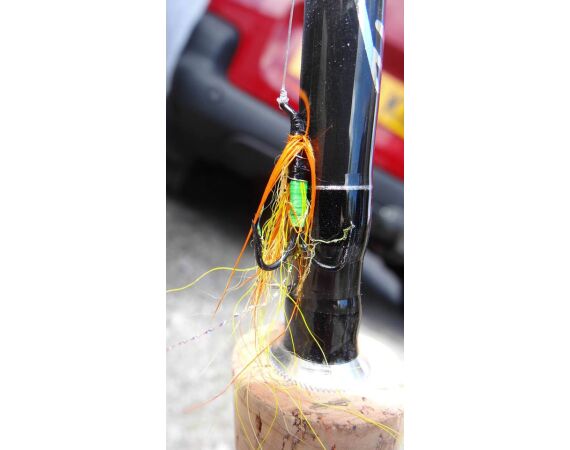 Drowes salmon Ireland