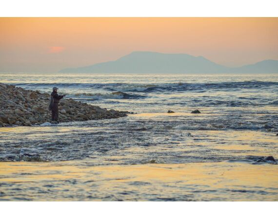 Drowes salmon Ireland